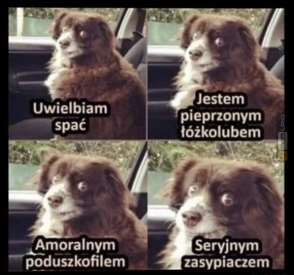 Śmieszny mem: 3653816 - MemLand