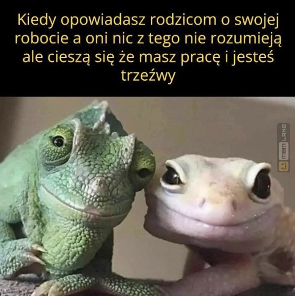 Śmieszny mem: 3658104 - MemLand