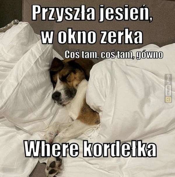 Śmieszny mem: 3663060 - MemLand