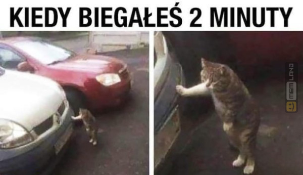 Śmieszny mem: 3663889 - MemLand