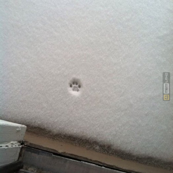 Śmieszny mem: 3671638 - MemLand