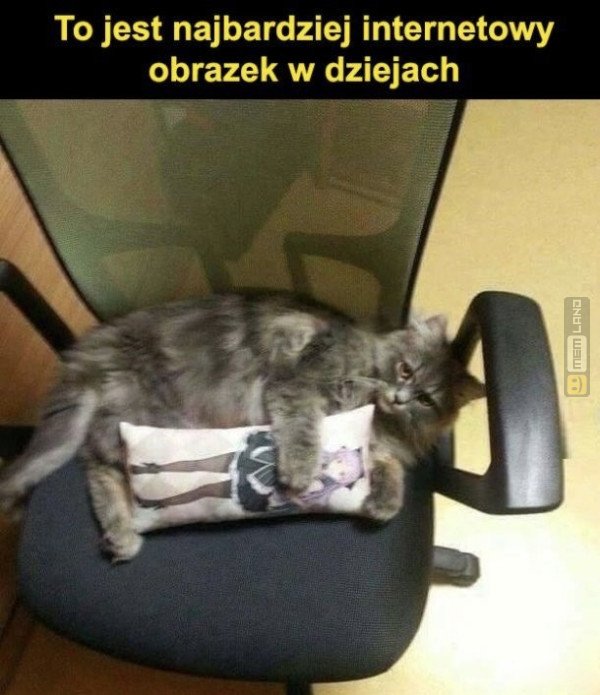 Śmieszny mem: 3684109 - MemLand