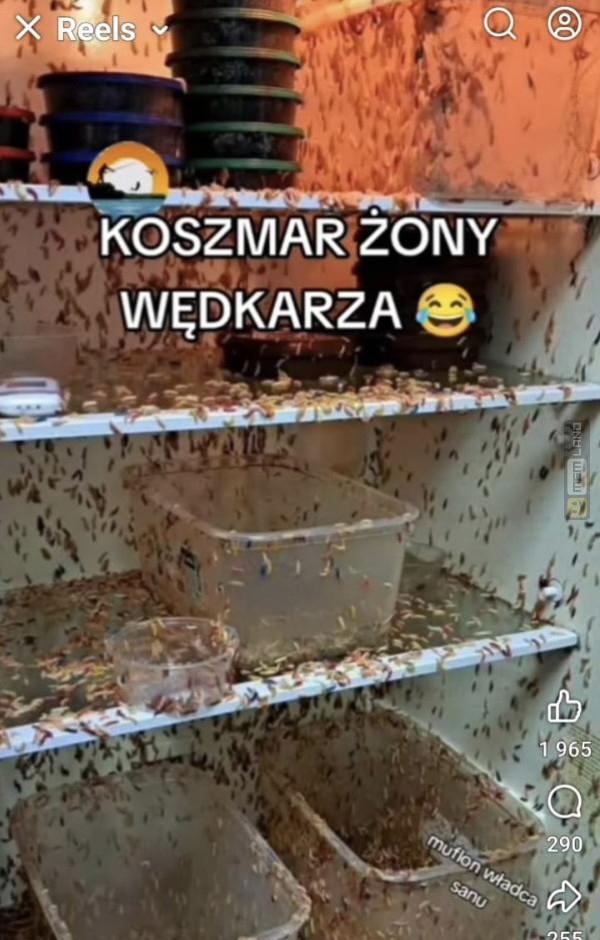 Śmieszny mem: 3696518 - MemLand