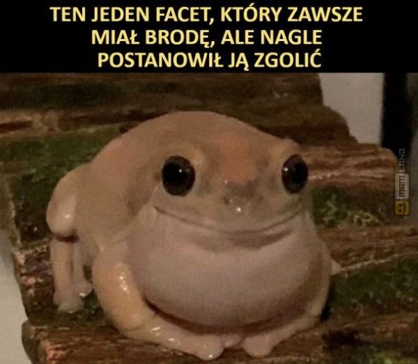 Śmieszny mem: 3701593 - MemLand
