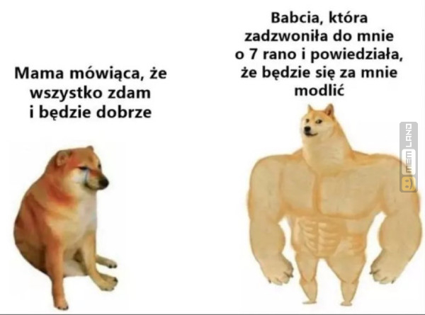 Śmieszny mem: 3702654 - MemLand