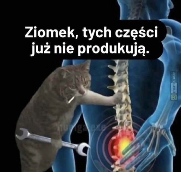 Śmieszny mem: 3705157 - MemLand