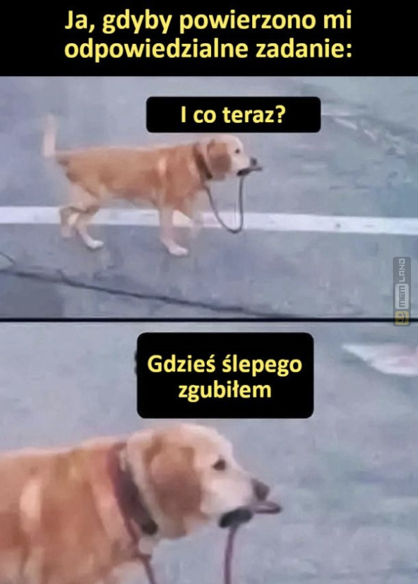 Śmieszny mem: 3717242 - MemLand