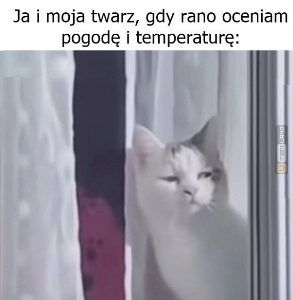 Śmieszny mem: 3721224 - MemLand