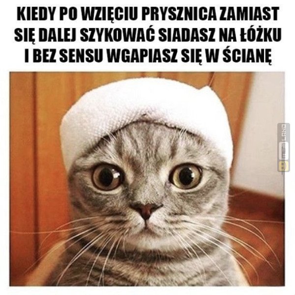 Śmieszny mem: 3722402 - MemLand