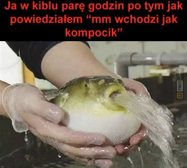 Śmieszny mem: 3729363 - MemLand