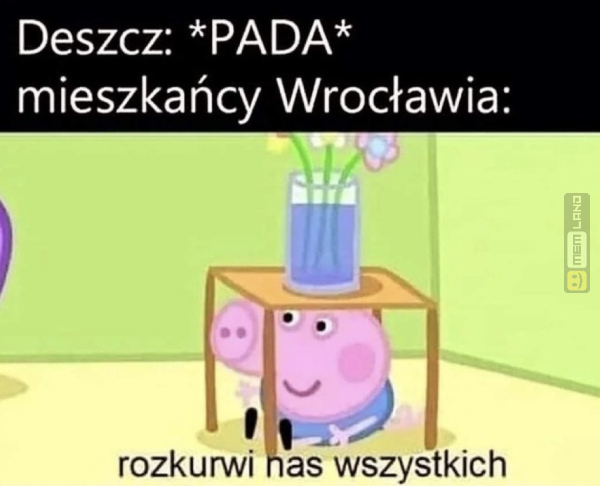 Śmieszny mem: 3730381 - MemLand