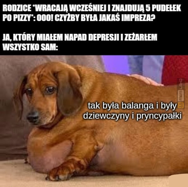 Śmieszny mem: 3731762 - MemLand