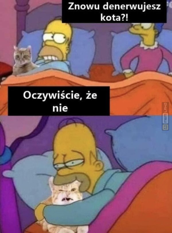 Śmieszny mem: 3741687 - MemLand