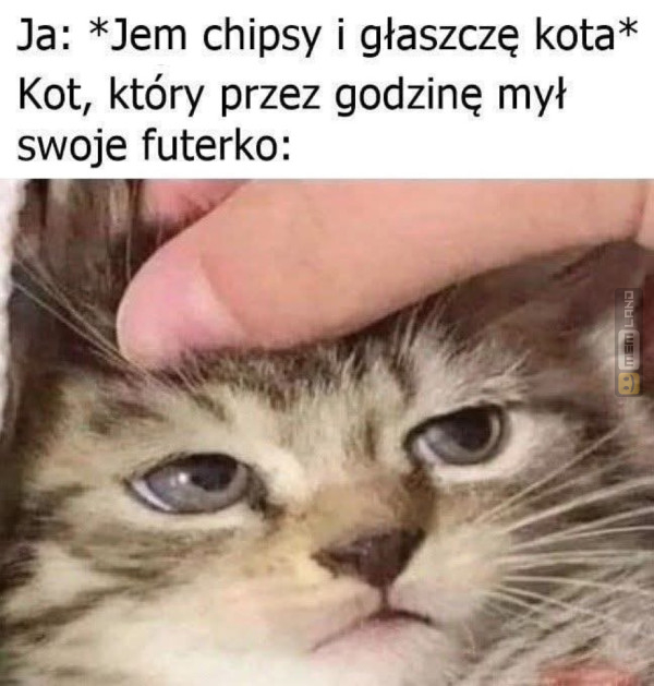 Śmieszny mem: 3758200 - MemLand