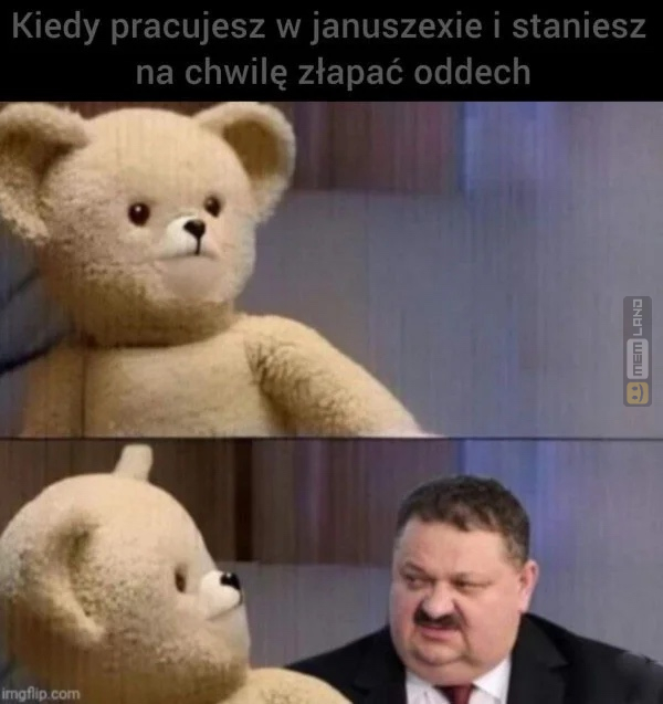 Śmieszny mem: 3765066 - MemLand