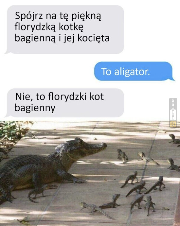Śmieszny mem: 3774060 - MemLand