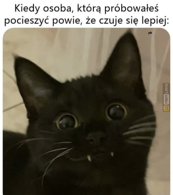 Śmieszny mem: 3775344 - MemLand