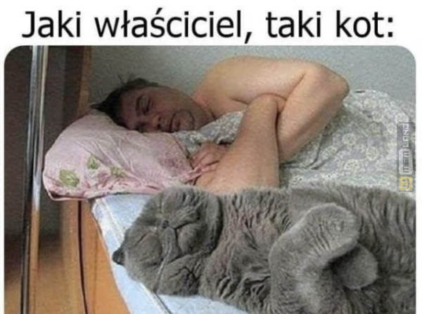 Śmieszny mem: 3801287 - MemLand