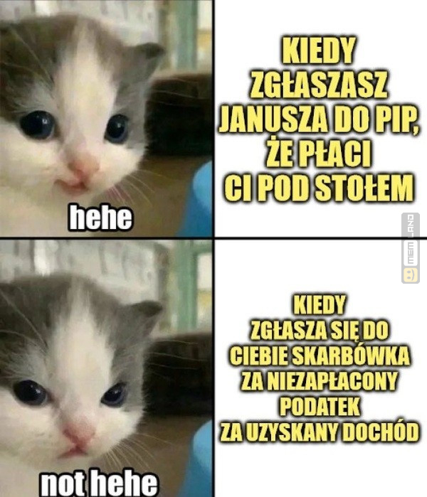 Śmieszny mem: 3801627 - MemLand