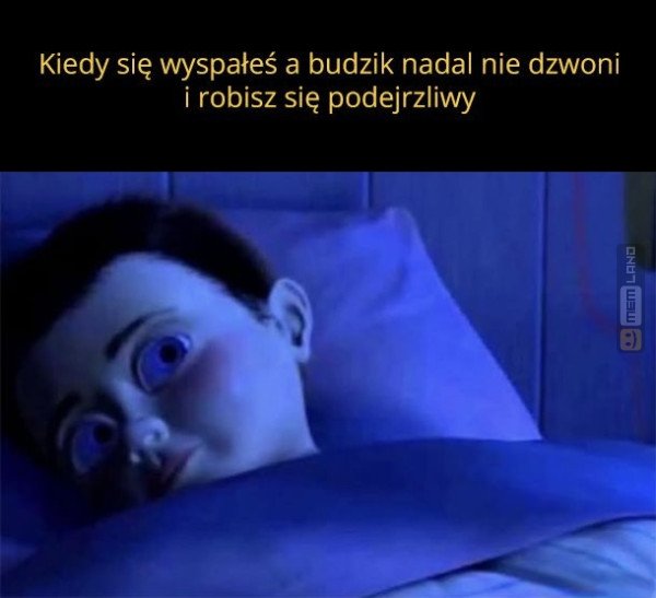 Śmieszny mem: 3808522 - MemLand