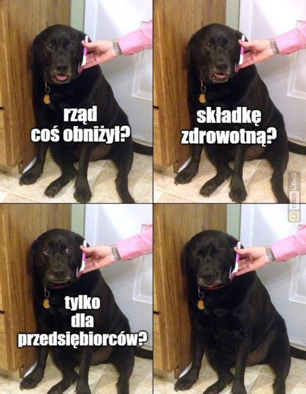 Śmieszny mem: 3808934 - MemLand