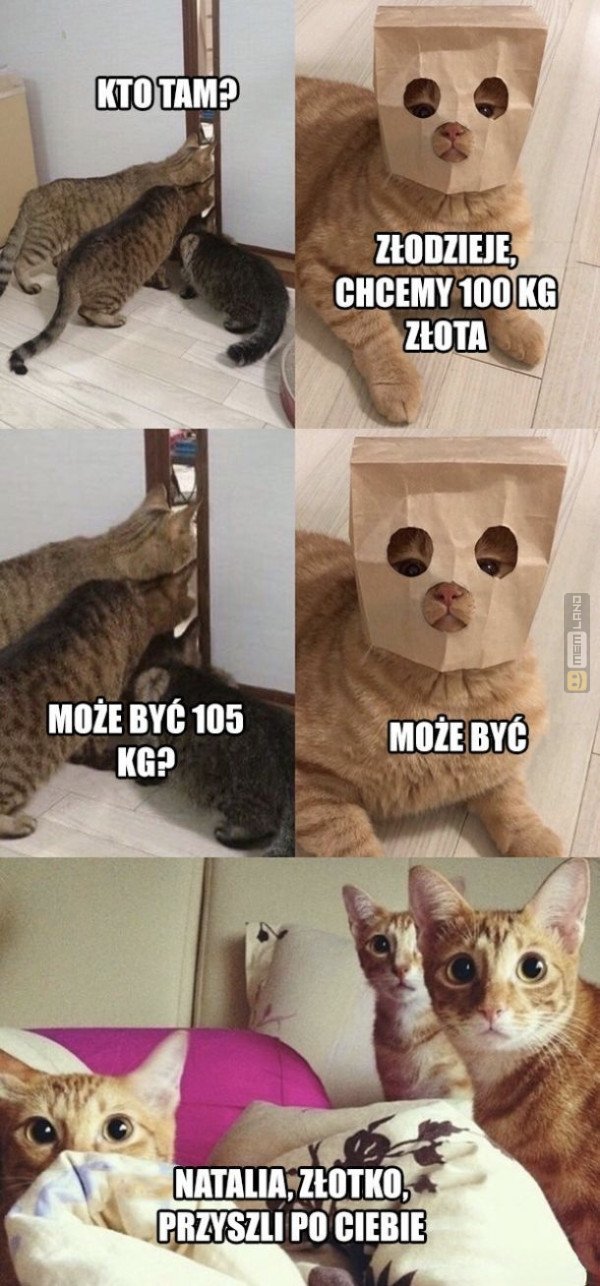 Śmieszny mem: 3811742 - MemLand