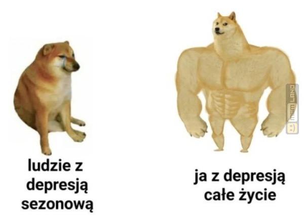 Śmieszny mem: 3815046 - MemLand