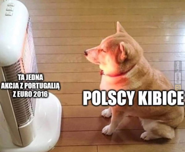 Śmieszny mem: 3816067 - MemLand