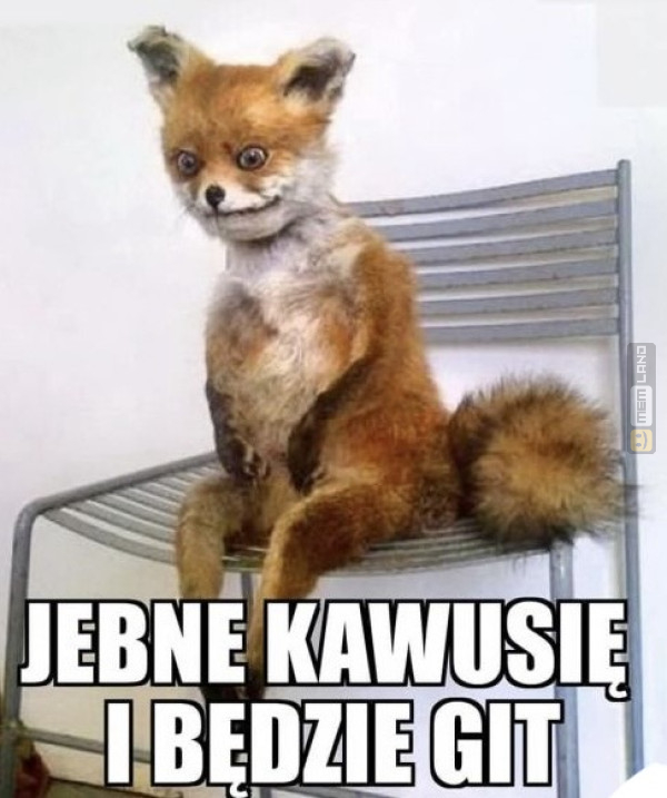 Śmieszny mem: 3816998 - MemLand