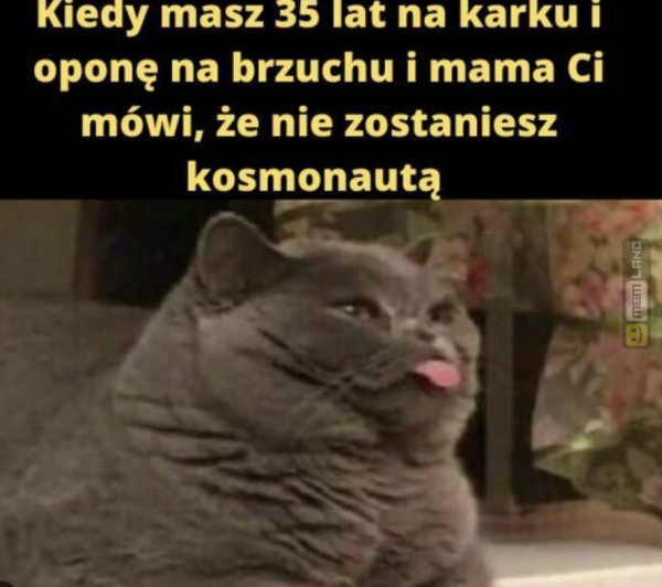 Śmieszny mem: 3820152 - MemLand
