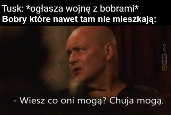 Śmieszny mem: 3843967 - MemLand