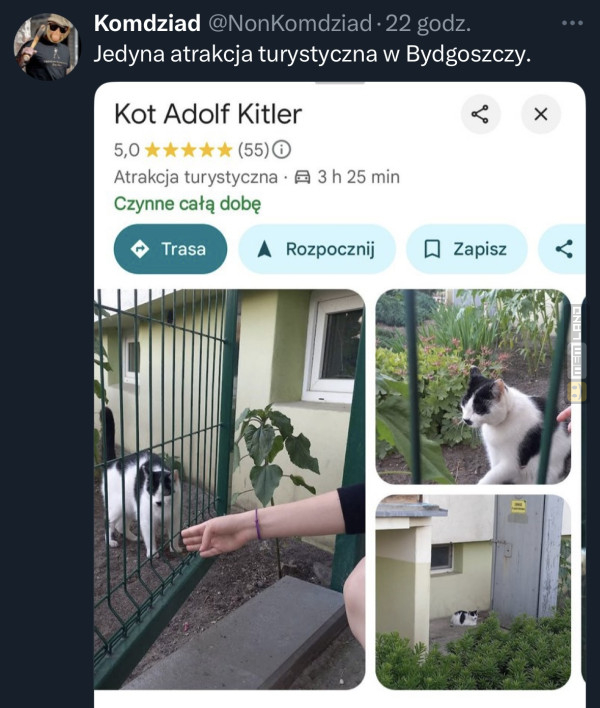 Śmieszny mem: 3845731 - MemLand