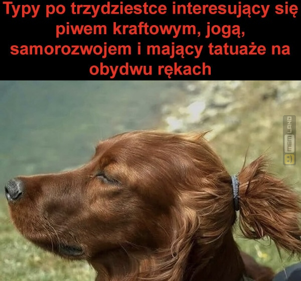 Śmieszny mem: 3847370 - MemLand