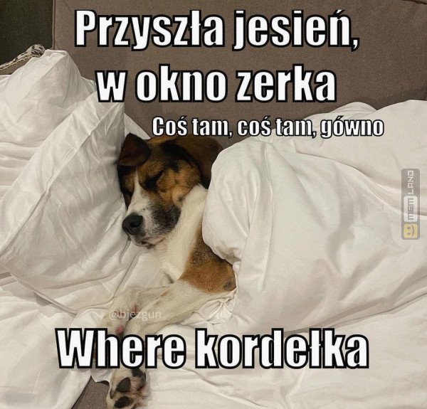 Śmieszny mem: 3864574 - MemLand