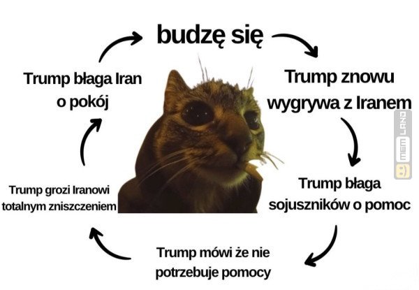 Śmieszny mem: 3868390 - MemLand