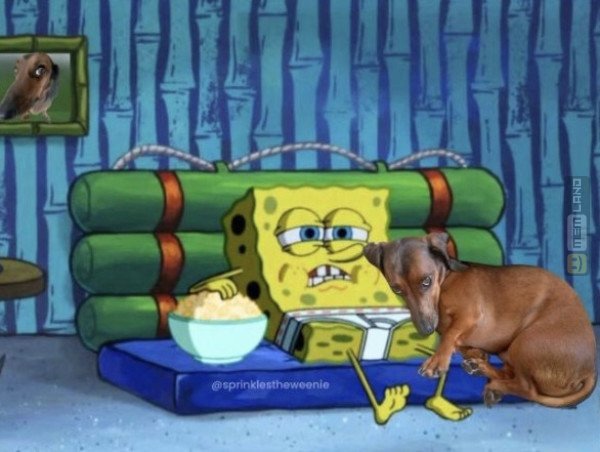 Śmieszny mem: 3877684 - MemLand