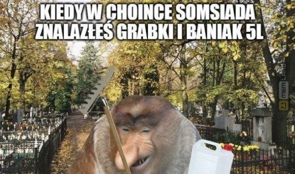 Śmieszny mem: 3886463 - MemLand