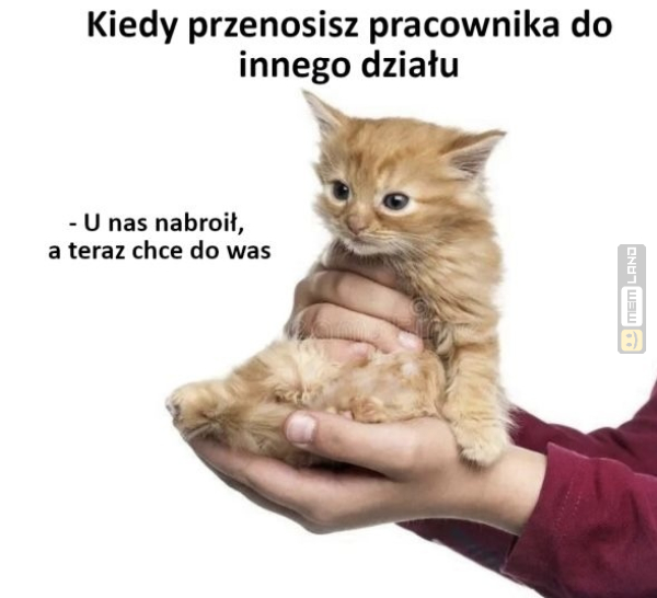 Śmieszny mem: 3891616 - MemLand