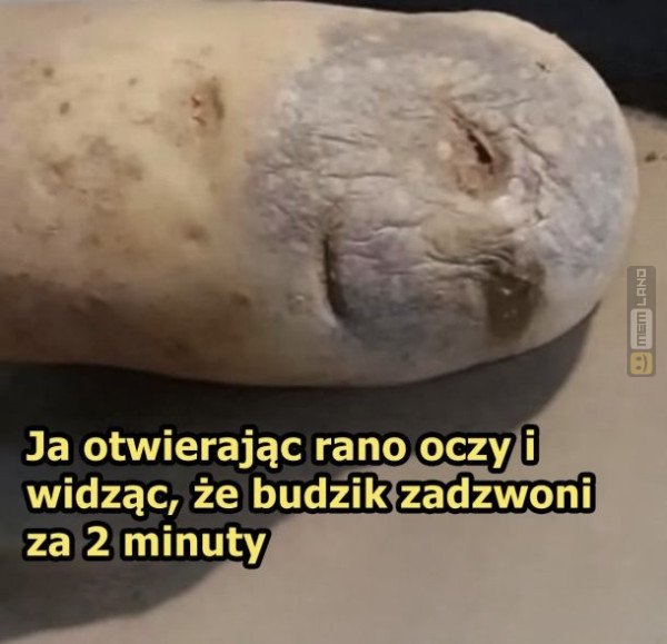 Śmieszny mem: 3892827 - MemLand