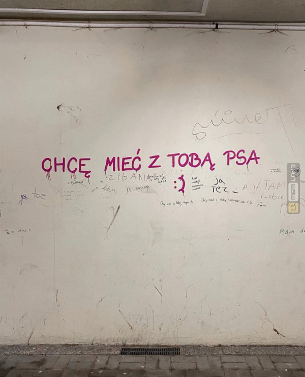 Śmieszny mem: 3894703 - MemLand