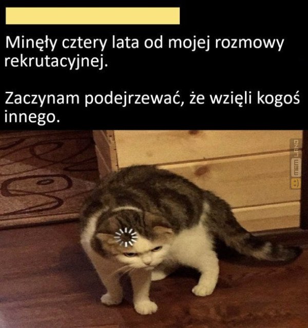 Śmieszny mem: 3904635 - MemLand