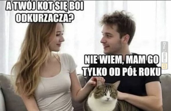 Śmieszny mem: 3906622 - MemLand