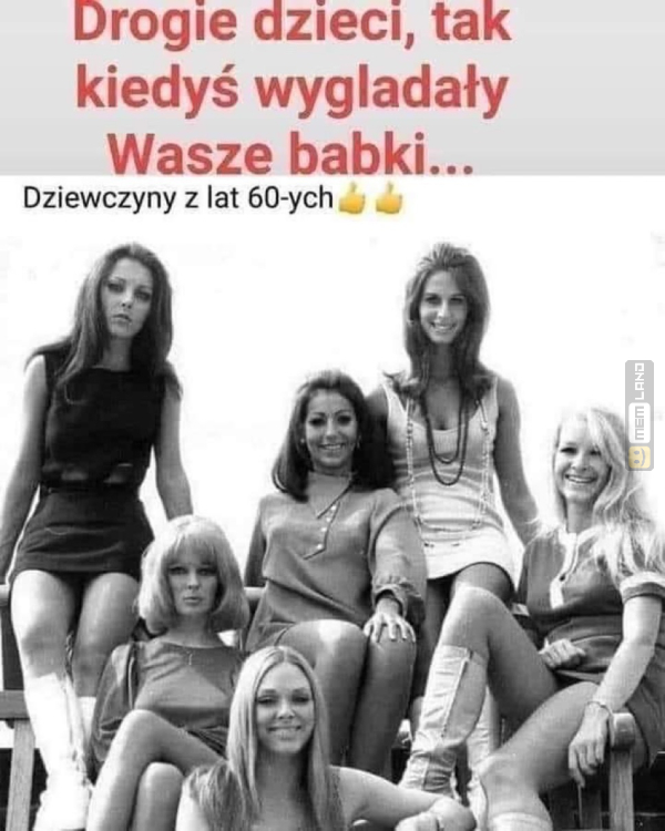 Śmieszny mem: 3921001 - MemLand