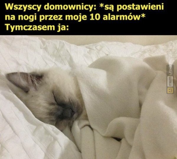 Śmieszny mem: 3927386 - MemLand