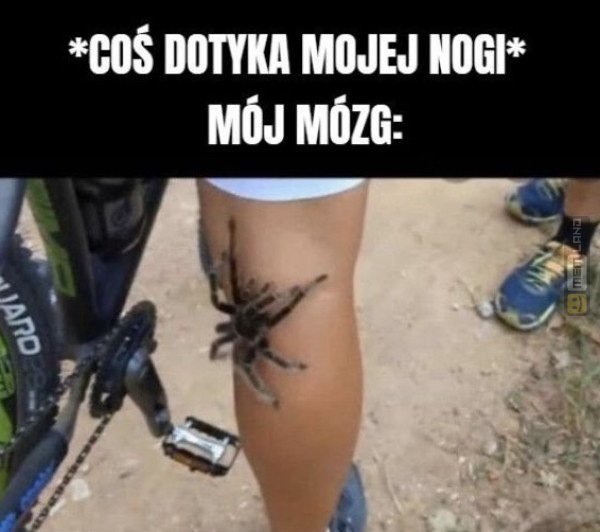 Śmieszny mem: 3931681 - MemLand