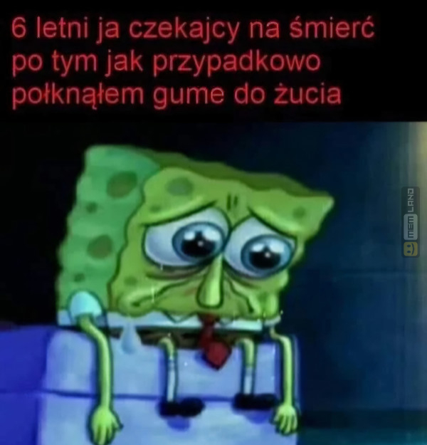 Śmieszny mem: 3943350 - MemLand