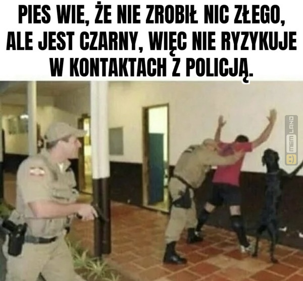 Śmieszny mem: 3943403 - MemLand
