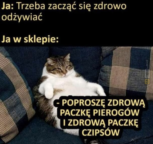 Śmieszny mem: 3948980 - MemLand