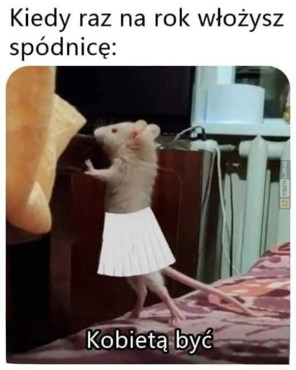 Śmieszny mem: 3951771 - MemLand