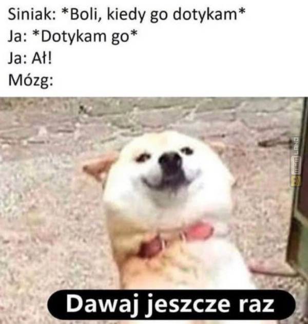 Śmieszny mem: 3953560 - MemLand